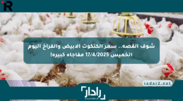 شوف القصة.. سعر الكتكوت الأبيض والفراخ اليوم الخميس 17/4/2025 مفاجأة كبيرة!